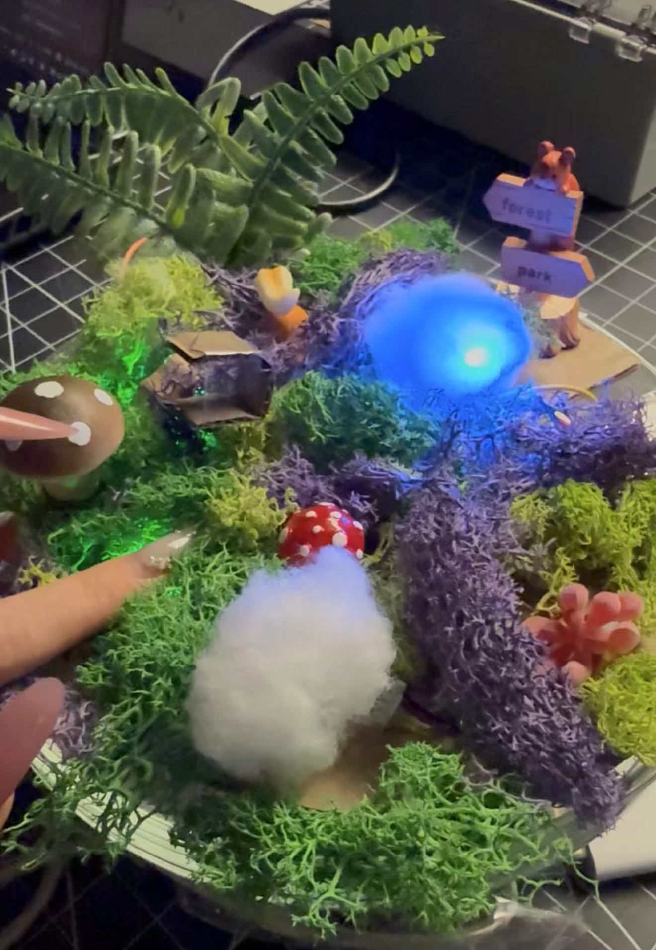 Lorem ipsum dolor sit amet, consectetur adipiscing elit